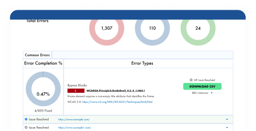 Screen shot from the ADA compliance software account page showing specific compliance error example.