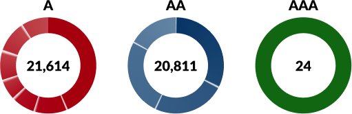 Three charts showing examples of ADA compliance level errors from the ADA compliance audit software. 